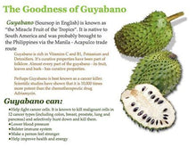 Load image into Gallery viewer, Soursop (also graviola, guyabano, and in Latin America, guanábana) is the fruit of Annona muricata, a broadleaf, flowering, evergreen tree. Aside from its anti - cancer feature it can also lowers blood pressure, strengthens the immune system, improves energylevels, heals wounds, eliminates worms, relieves diarrhea and fever, and treats gonorrhea and herpes. For detox and antioxidant. Proven safe and serve as traditional alternative medicines. Organic Superfood Philippines.
