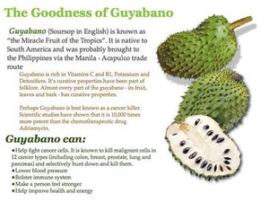 Soursop (also graviola, guyabano, and in Latin America, guanábana) is the fruit of Annona muricata, a broadleaf, flowering, evergreen tree. Aside from its anti - cancer feature it can also lowers blood pressure, strengthens the immune system, improves energylevels, heals wounds, eliminates worms, relieves diarrhea and fever, and treats gonorrhea and herpes. For detox and antioxidant. Proven safe and serve as traditional alternative medicines. Organic Superfood Philippines.