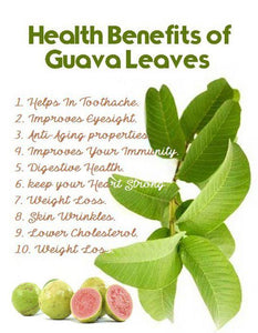 100% Natural Pure Guava Leaves Powder - Organic Non-GMO 200g For detox and antioxidant. Proven safe and serve as traditional alternative medicines. Organic Superfood Philippines.