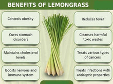 Load image into Gallery viewer, 100% Natural Pure Lemongrass Powder Tea - Organic Non-GMO