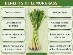 100% Natural Pure Lemongrass Powder Tea - Organic Non-GMO
