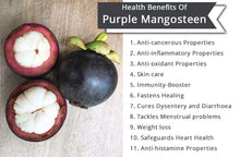 Load image into Gallery viewer, 100% Natural Pure Mangosteen Powder - Organic Non-GMO