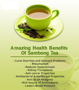 100% Natural Pure Sambong Powder - Organic Non-GMO 150g. For detox and antioxidant. Proven safe and serve as traditional alternative medicines. Organic Superfood Philippines.
