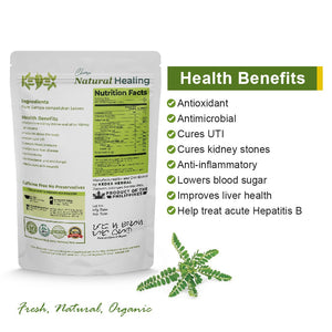 100% Natural Pure Sampa-sampalukan (Chanca Piedra) Powder - Organic Non-GMO 150g - KEDEX HERBAL